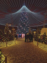 christmas tree