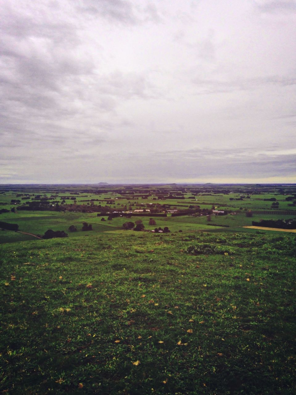 landscape, tranquil scene, sky, field, grass, tranquility, scenics, cloud - sky, rural scene, green color, beauty in nature, horizon over land, nature, non-urban scene, agriculture, distant, day, farm, green, sea, grassy, solitude, outdoors, cloudy, remote, pasture, no people, wide shot, grass area