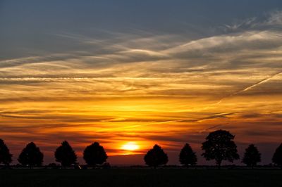 Silhouette trees on field against orange sky