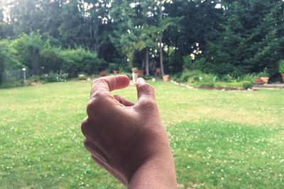 Close-up of man hand against trees