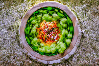 High angle view of vegetables in container