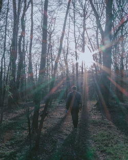 Rear view of man walking in forest