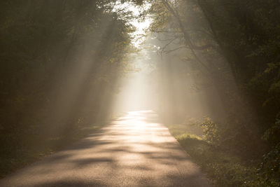 Sunbeam on empty road