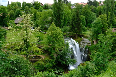 Scenic view of waterfall in forest