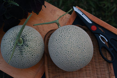 High angle view of fruits on table