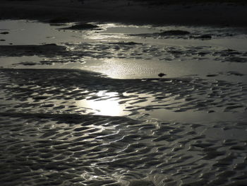 Reflection of trees in water