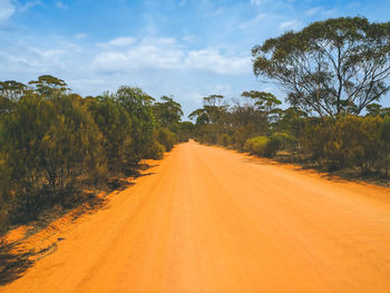 Dirt road amidst trees against sky