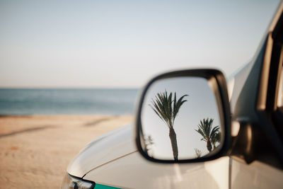 Reflection of palm trees on car mirror at beach