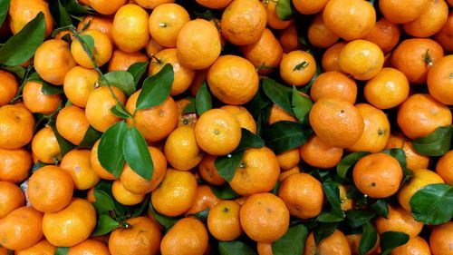 Full frame shot of oranges at market