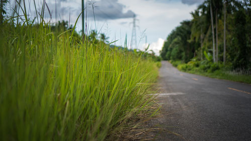 Scenic view of road amidst field against sky