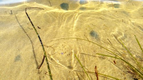 Full frame shot of sand