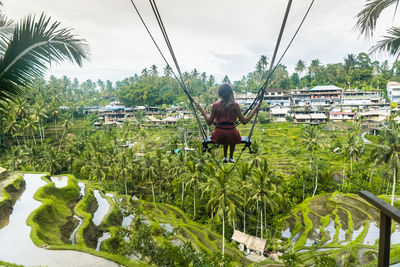 Rear view of man standing by palm trees against sky