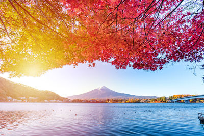 Scenic view of lake by trees against sky during autumn