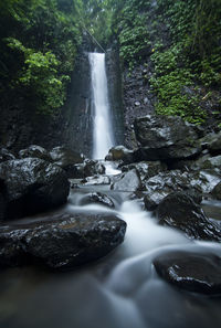 Scenic view of waterfall in forest