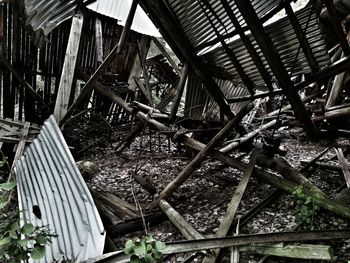 Interior of abandoned bicycle