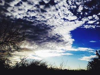 Silhouette of trees against cloudy sky