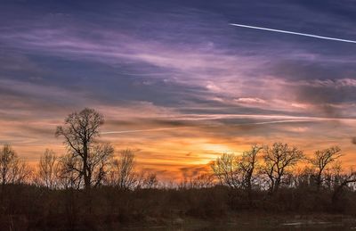 Silhouette bare tree against sky during sunset