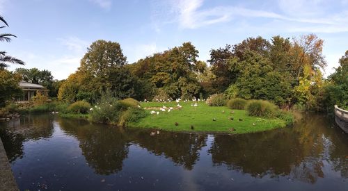 Reflection of trees in lake against sky in park