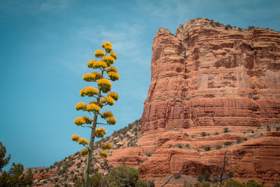 Low angle view of rock formation against sky