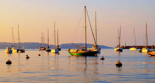 Sailboats moored on harbor against sky