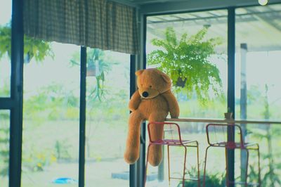 Close-up of stuffed toy against window