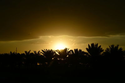 Silhouette trees against sky during sunset