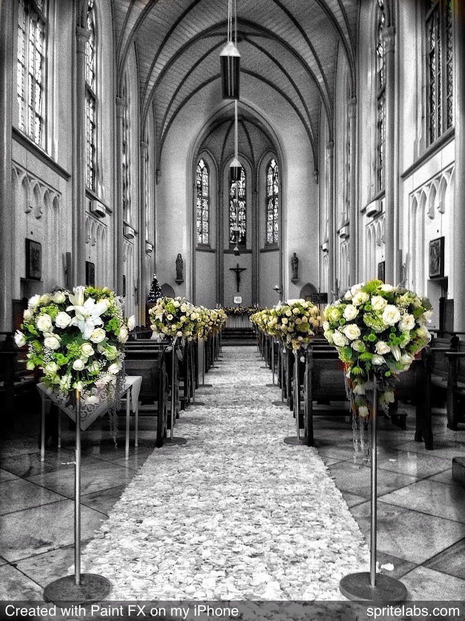 indoors, arch, place of worship, religion, architecture, built structure, spirituality, church, flower, potted plant, the way forward, architectural column, window, day, corridor, plant, no people, pew