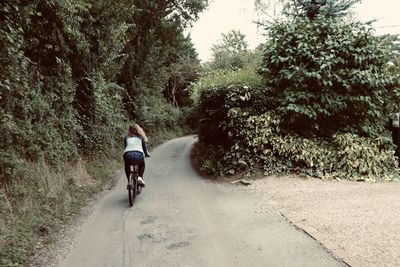 Rear view of man riding bicycle on road