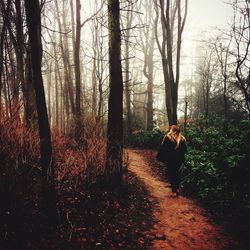 Rear view of woman walking in forest