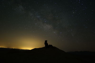 Silhouette people standing on field against sky at night