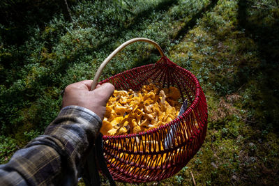 Cropped hand of woman holding wicker basket