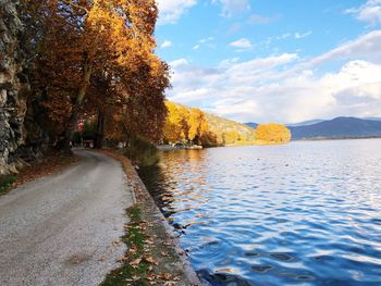 Scenic view of autumn trees against sky