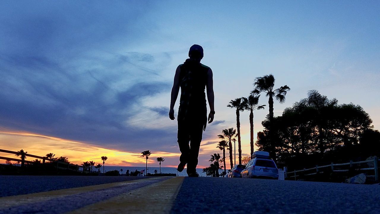 SILHOUETTE MAN AND PALM TREES AGAINST SKY