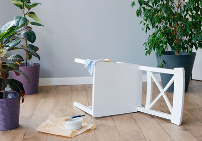 Potted plant on table