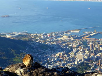 High angle view of sea and buildings in city