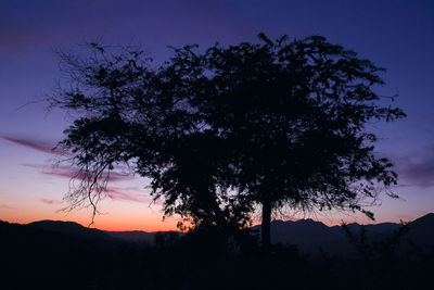 Silhouette tree on field against sky at sunset