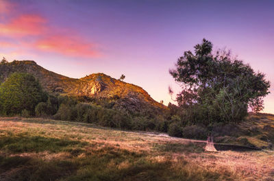 Scenic view of landscape against sky during sunset