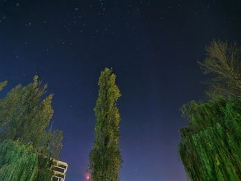 Las drzewa noc polska rzeszów 