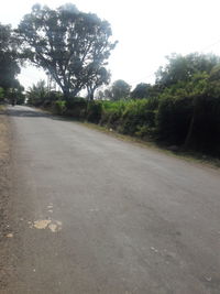 Empty road by trees in city against sky