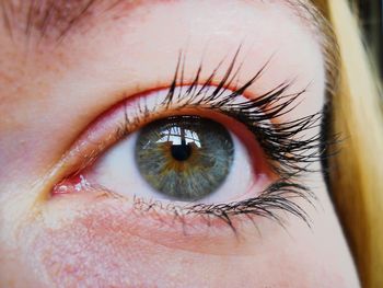 Close-up of woman eye