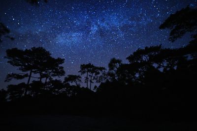 Low angle view of silhouette trees against sky at night