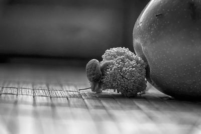 Close-up of stuffed toy on table