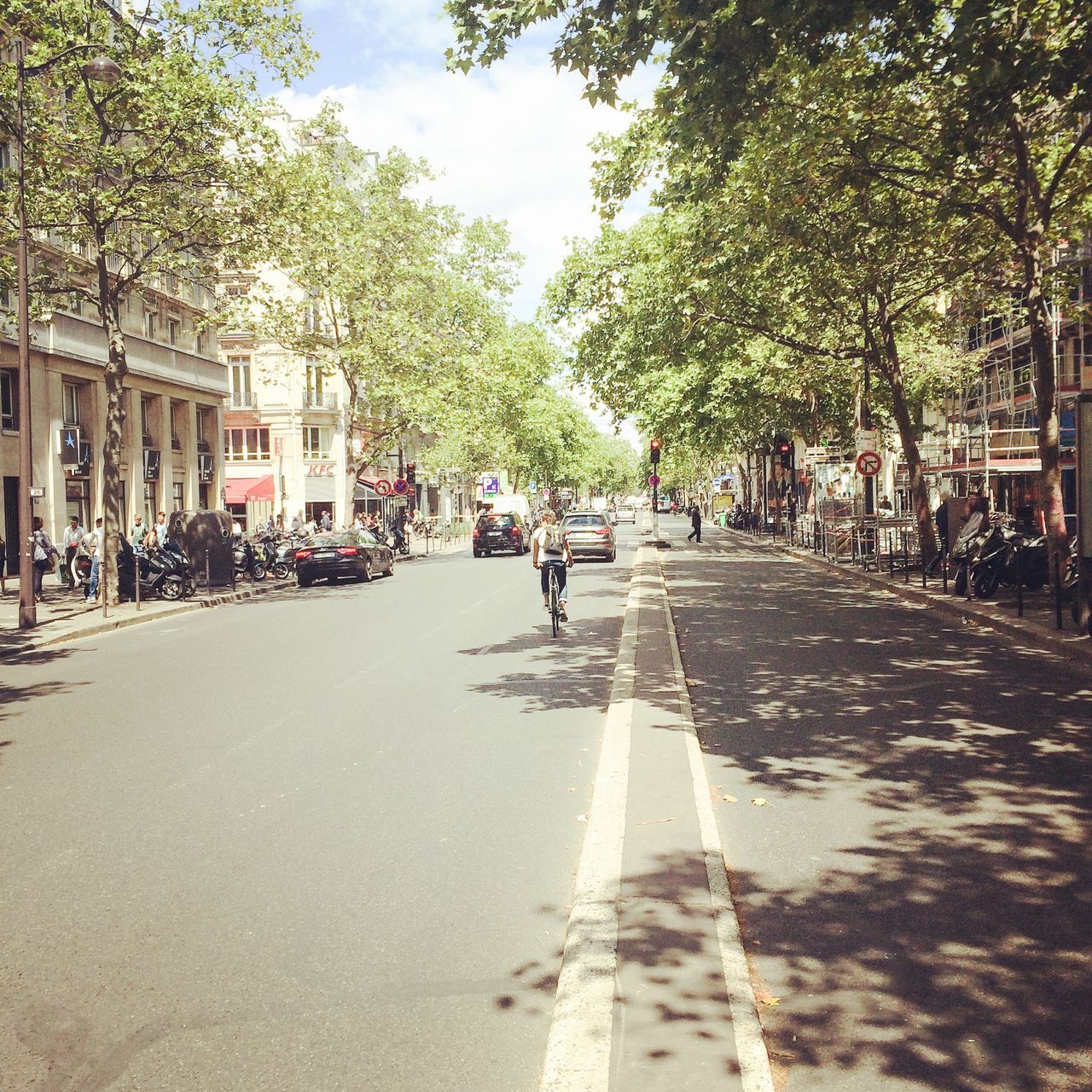 tree, transportation, the way forward, street, city, men, person, walking, road, lifestyles, building exterior, city life, incidental people, large group of people, sunlight, diminishing perspective, leisure activity, architecture, built structure