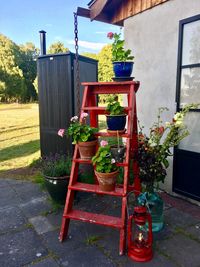 Potted plant on chair