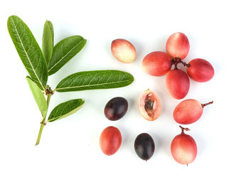 Directly above shot of fruits and leaves on white background