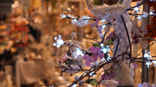 Close-up of christmas decoration hanging on tree