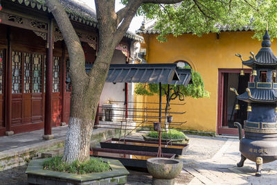 Potted plants outside building