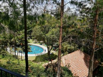 Swimming pool by trees against sky