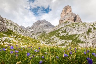 Scenic view of landscape against cloudy sky