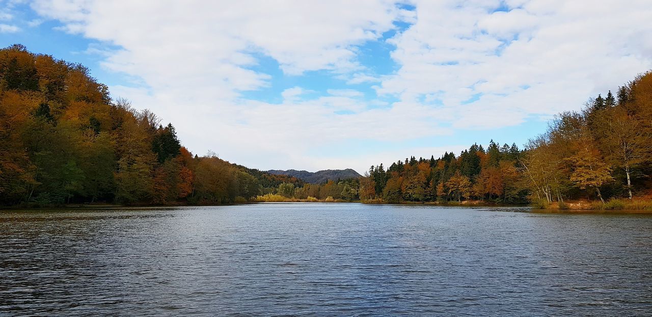 SCENIC VIEW OF LAKE BY TREES AGAINST SKY